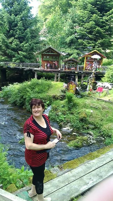 Landgasthof Zum Hirschenstein, Pension Garni Sankt Englmar Německo