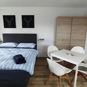 Apartment Mit Blick In Den Bayrischen Wald Oberhalb Von Sankt Engelmar, Sankt Englmar